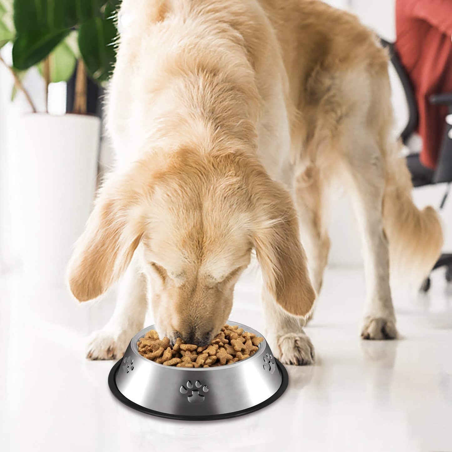 2 Stainless Steel Dog Bowls