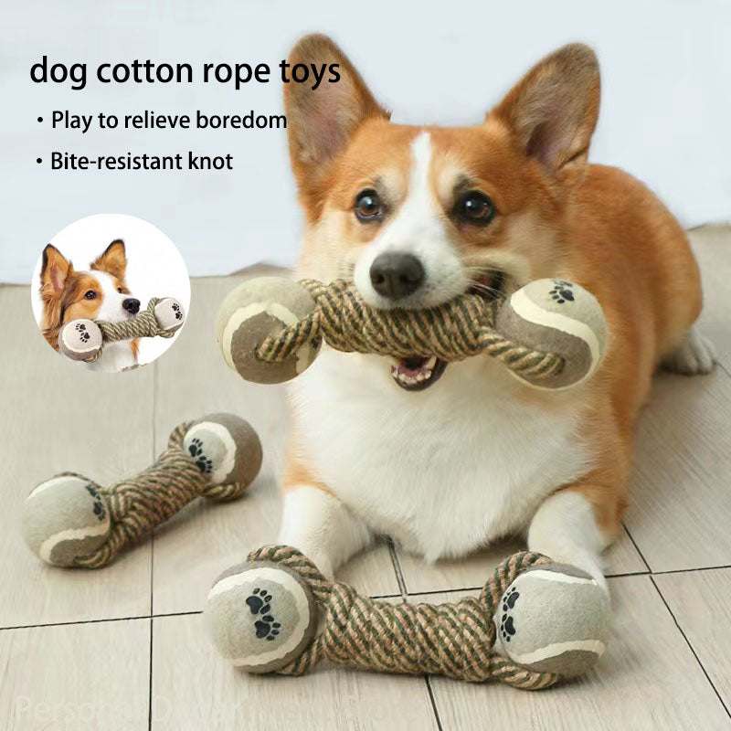 Interactive Rope Toy