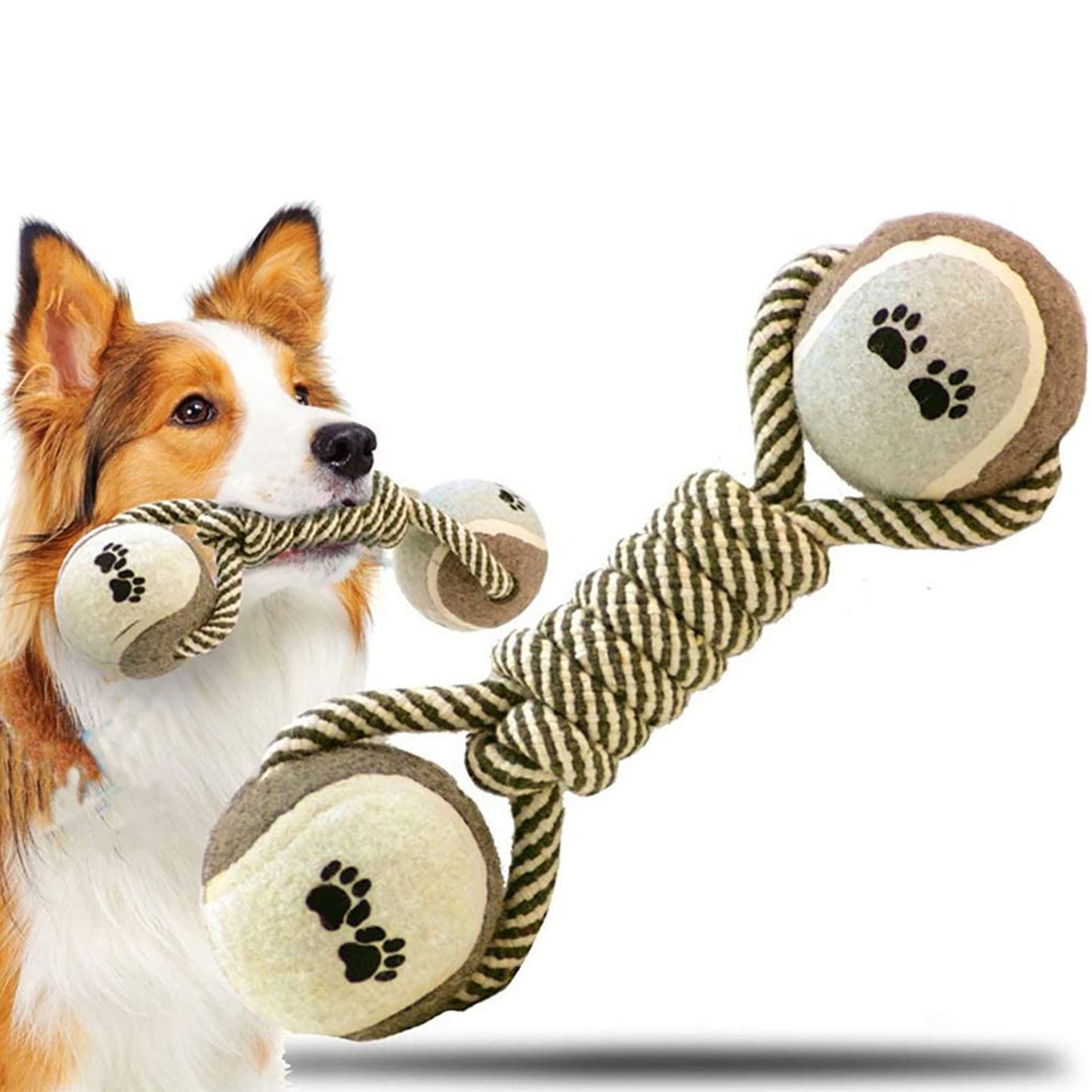 Interactive Rope Toy