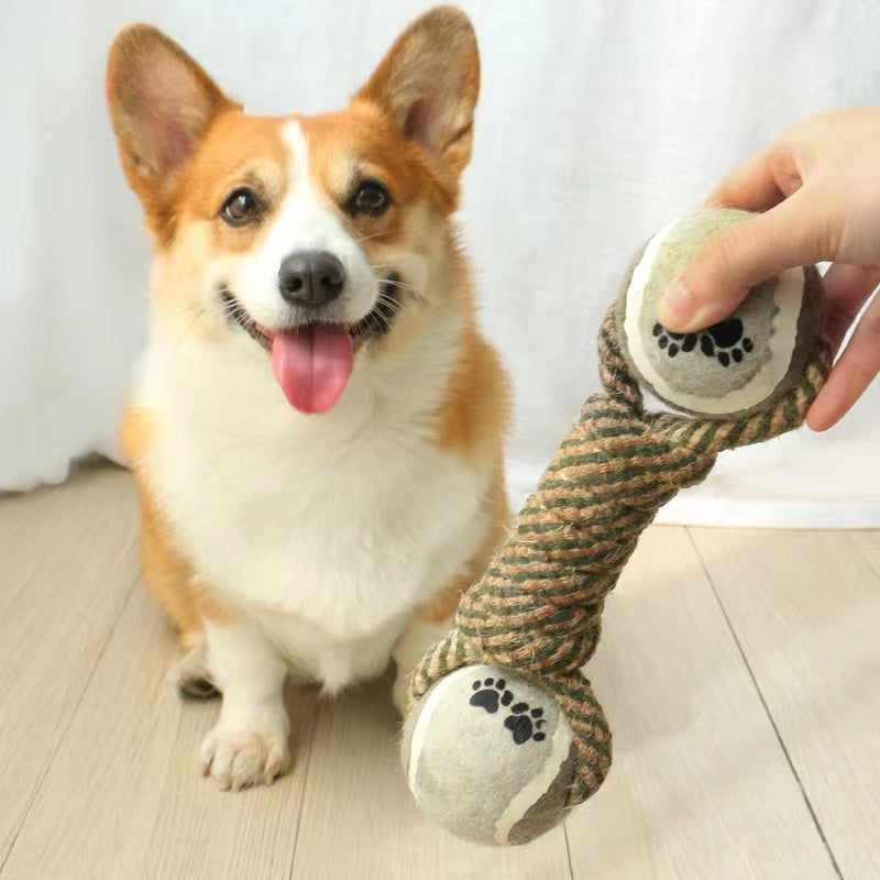 Interactive Rope Toy