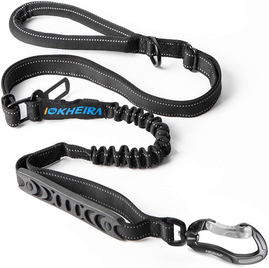 Multifunctional Leash with Car Seatbelt