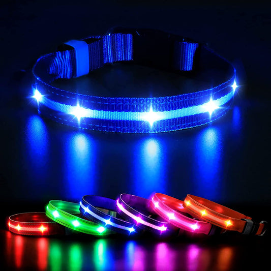 Led Dog Collar (Small)