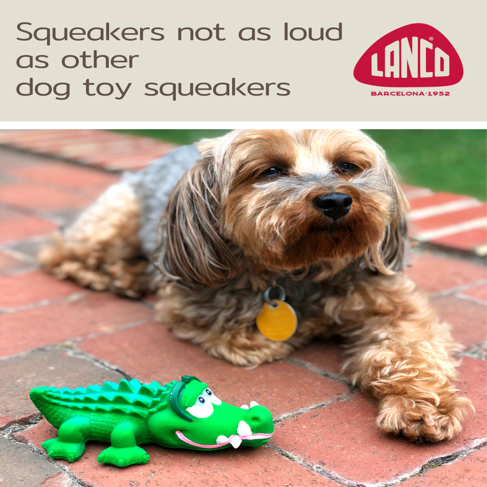 Alligator Sensory Squeaky Dog Toy