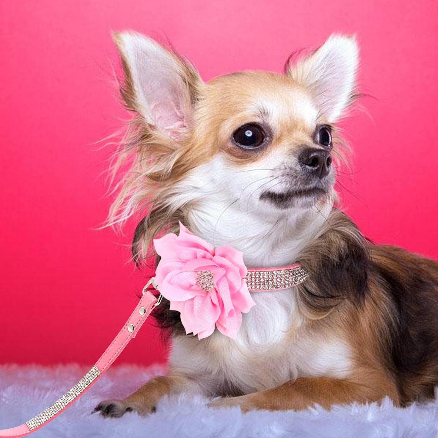 Cute Girl Rhinestone Suede Dog Collar (Small)