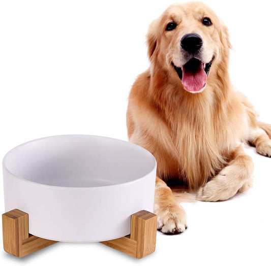 White Ceramic Dog Bowls with Wood Stand