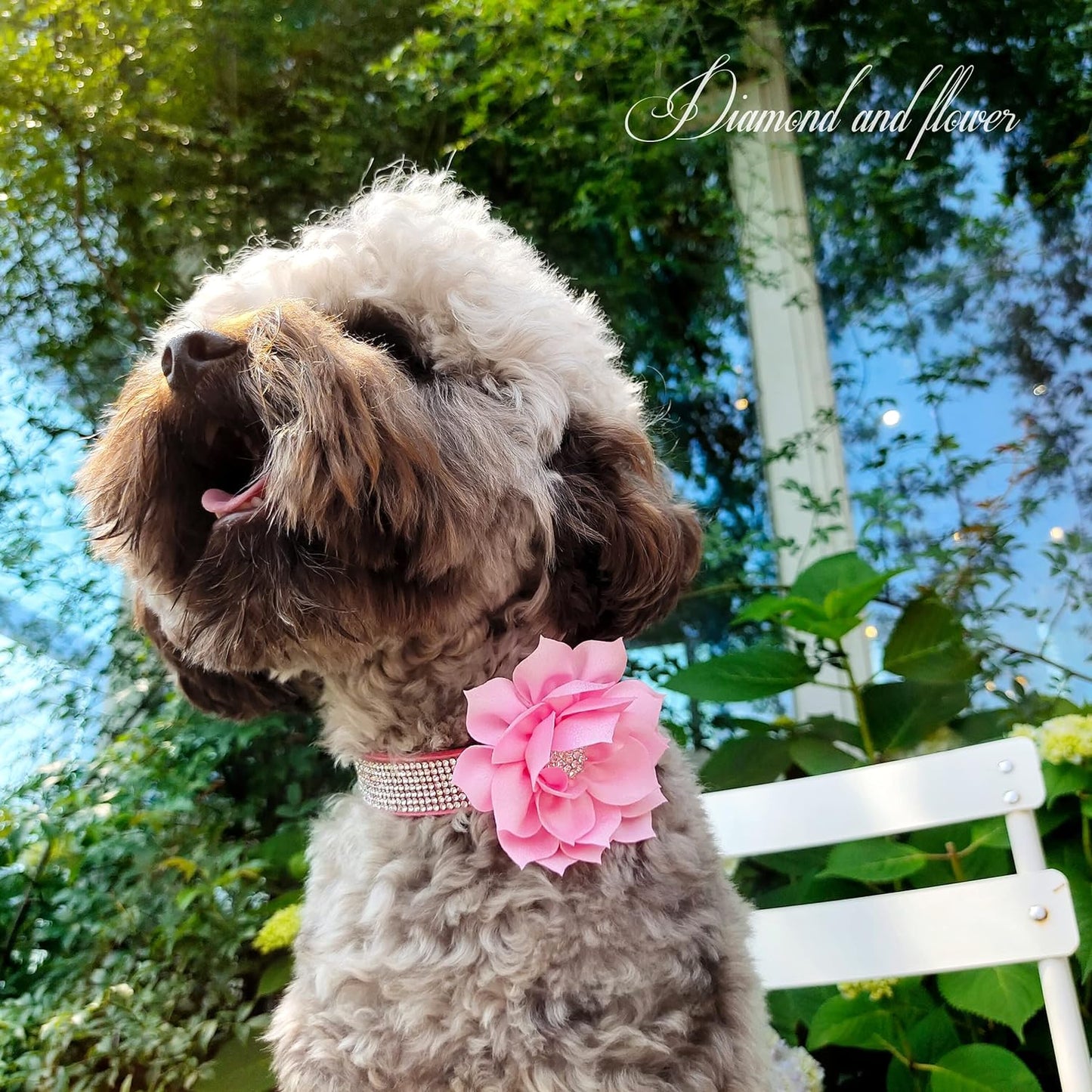 Cute Girl Rhinestone Suede Dog Collar (Small)