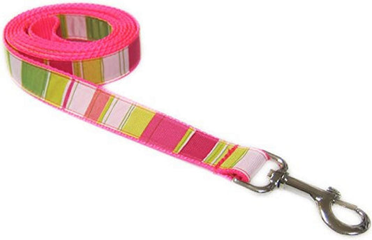 Neon Pink/Multi Stripe Dog Leash: (1" Wide, 6Ft)