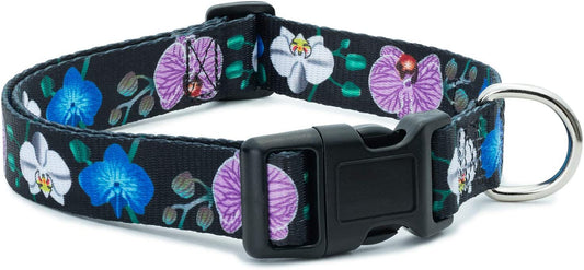 Floral Flower Dog Collar (Large, Orchid)