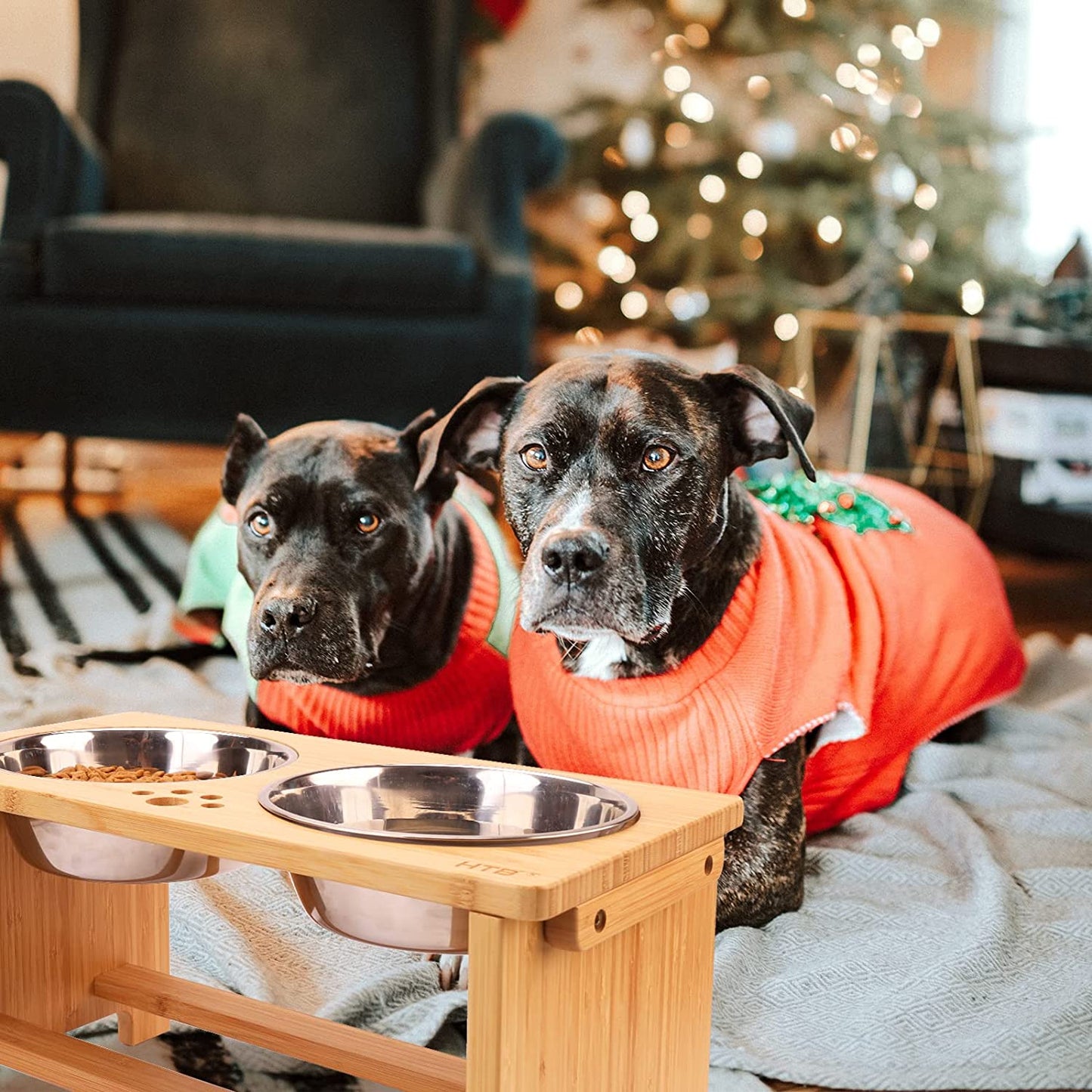 Elevated Dog Bowls